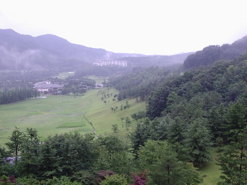 photo19.jpg