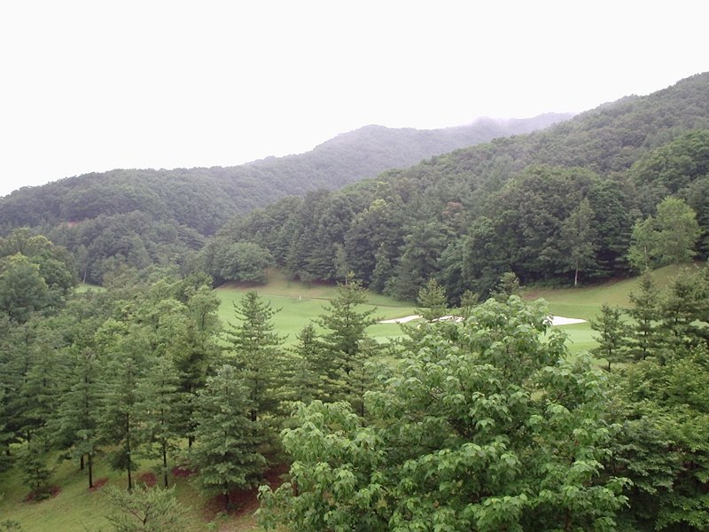 photo20.jpg