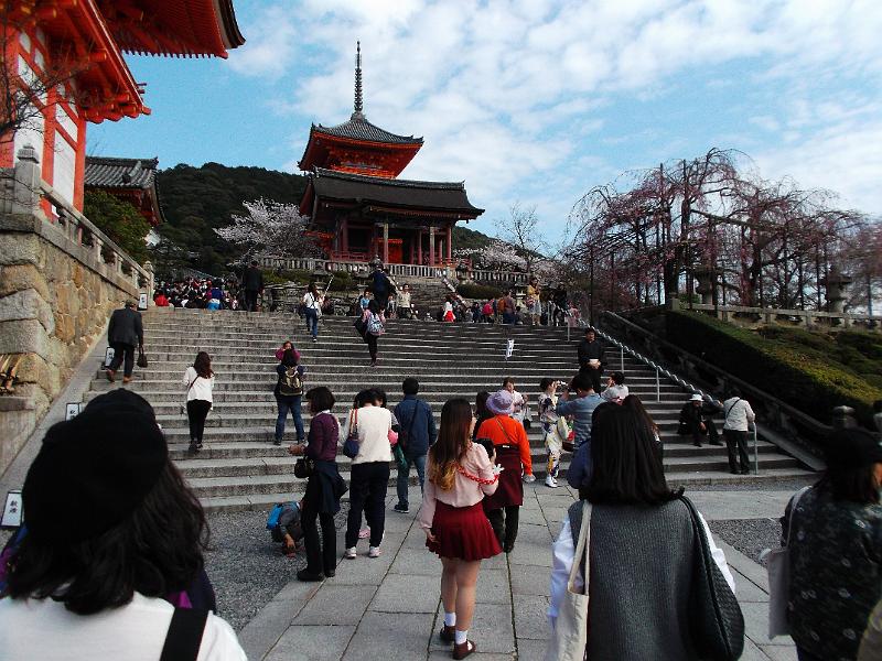 Japan_Tour(2015)004.jpg
