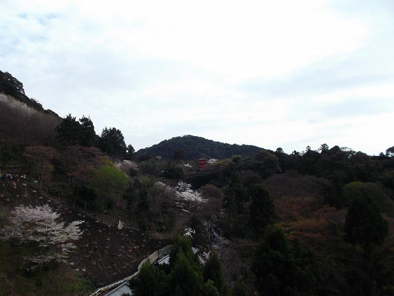 Japan_Tour(2015)007.jpg
