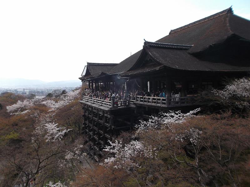 Japan_Tour(2015)026.jpg