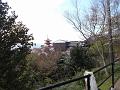 Japan_Tour(2015)029