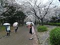 Japan_Tour(2015)118