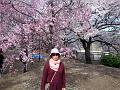 Japan_Tour(2015)119
