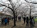 Japan_Tour(2015)149
