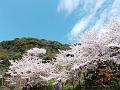 Japan_Tour(2015)168