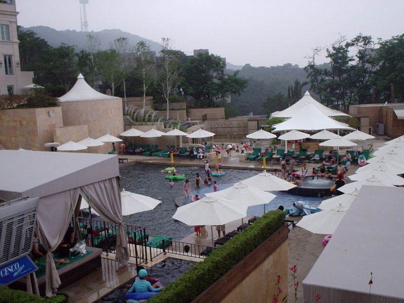 BanyanTree01.jpg