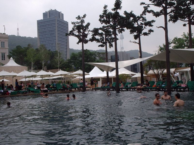 BanyanTree02.jpg
