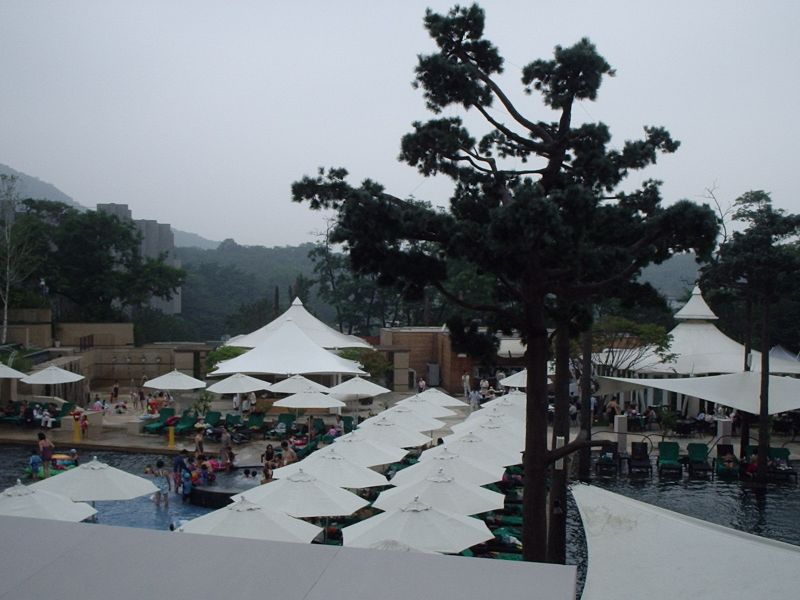 BanyanTree03.jpg