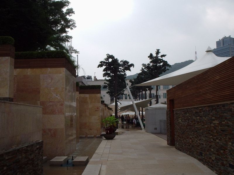 BanyanTree04.jpg