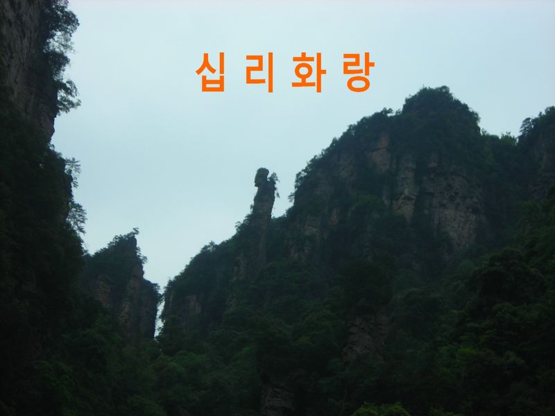 china068.JPG