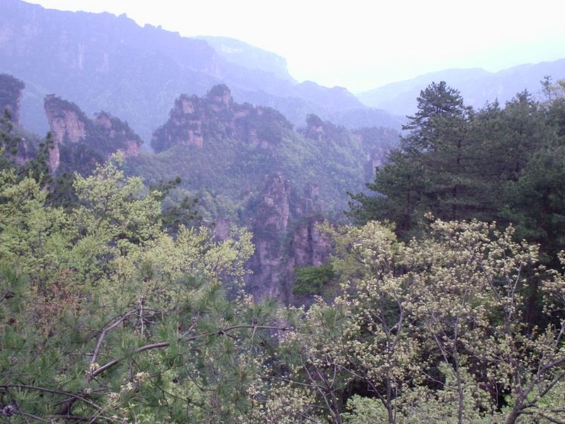 china120.jpg