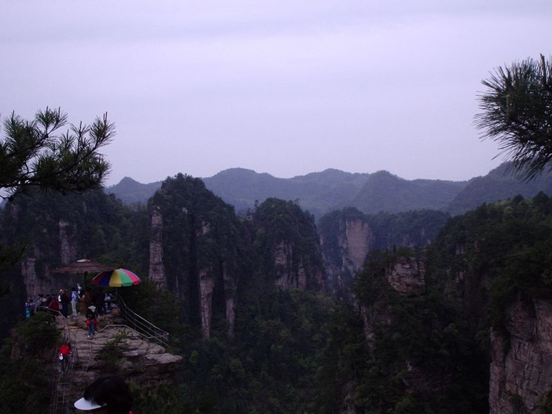 china135.jpg