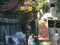 china005