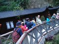 china019
