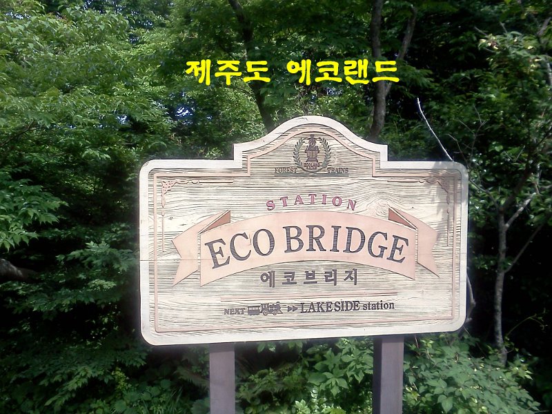 Korea062.jpg