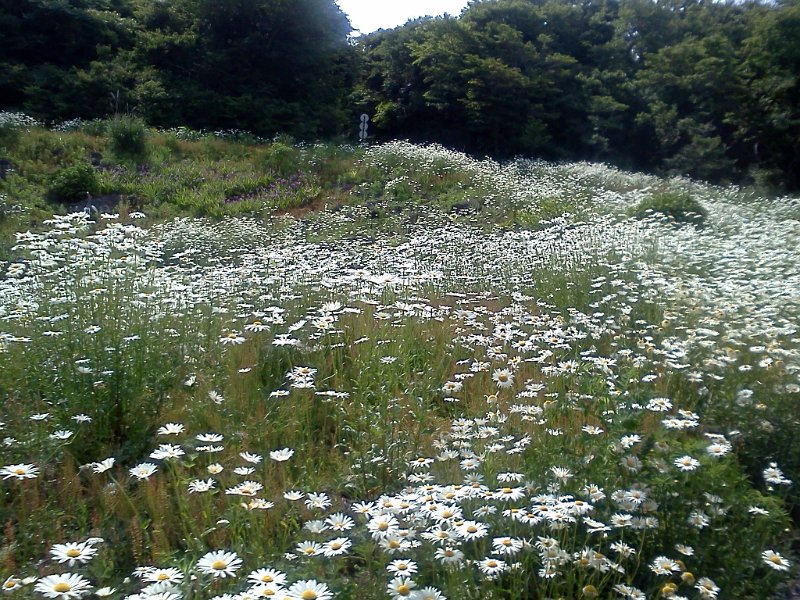 Korea069.jpg