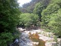Korea019