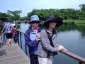 Korea072