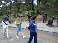 korea154