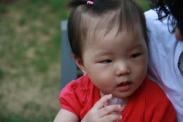 2010oakvalley085.JPG