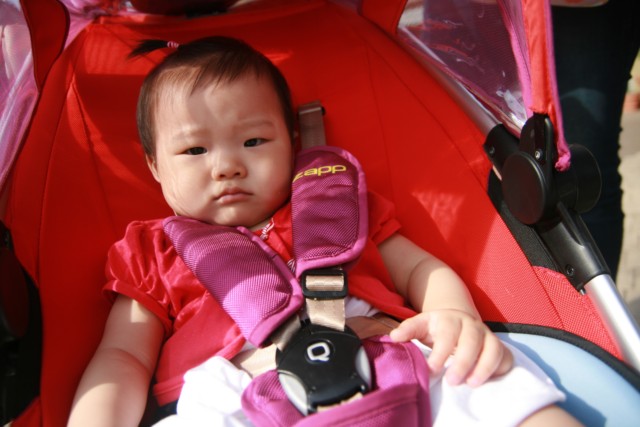 2010oakvalley095.JPG