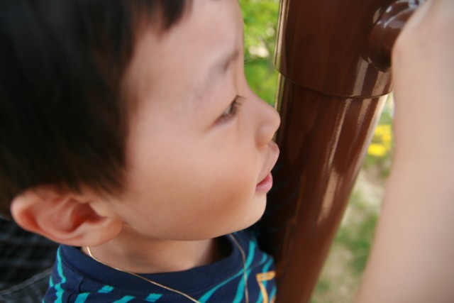 2010oakvalley098.JPG