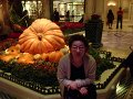 USA_Tour21