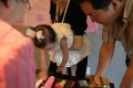 cy_1st_birthday18