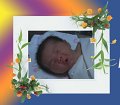 cy-born16