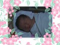 cy-born19