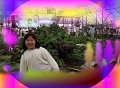 jh2003-68