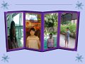jh2005-46