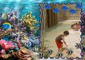jw2009-08