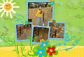 jw2009-19