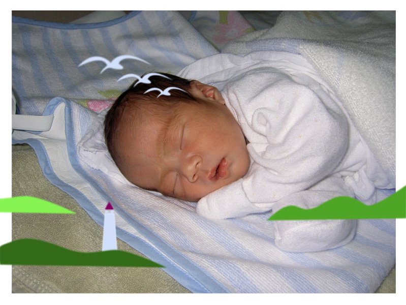 jw-born22.jpg