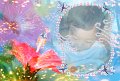wj-kindergarten016