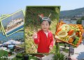 wj-kindergarten068