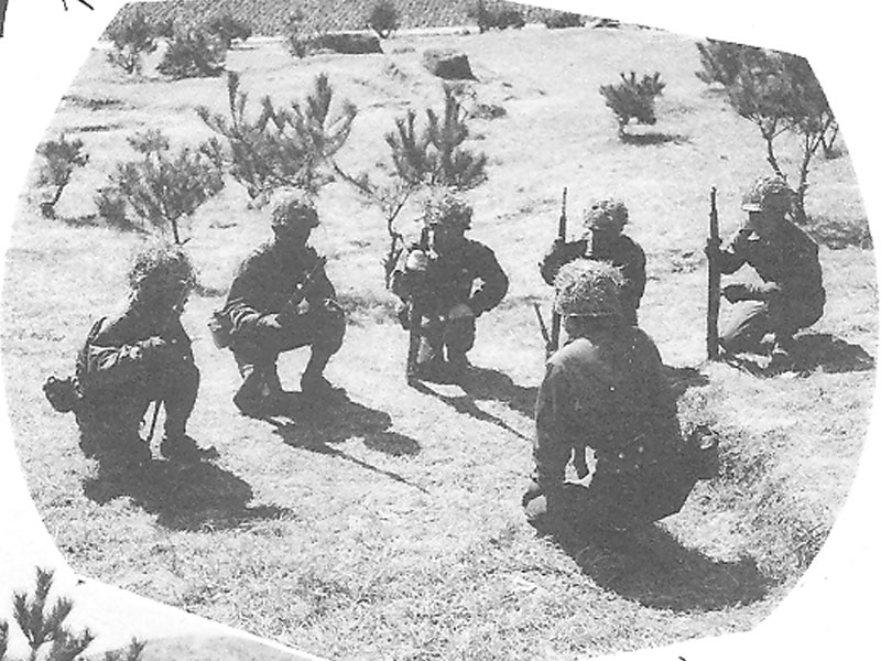 ocs018.jpg