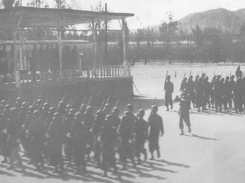 ocs022.jpg