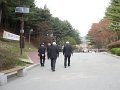 ocs206